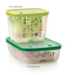 Tupperware Sera Özel Set 1.8lt Alçak ve Yüksek Gövde ESC