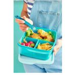 Tupperware Tupperware beslenme Kutusu 1 L S. Mavi Bölmeli