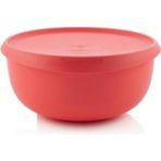 Tupperware Yoca 4.3 Lt Saklama Kabı