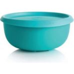 Tupperware Yonca 550 ml ( Küçük Saklama Kabı ) Hsgl - Mint