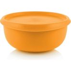 Tupperware Yonca 550 ml ( Küçük Saklama Kabı ) Hsgl - Turuncu