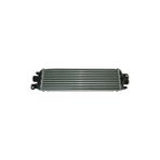 Turbo Radyatörü Bravo 07-/doblo 10-/g.punto 06-Punto 09-12 DZL/BENZ(AL+PL-BRAZ)(572*127*50