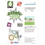 Türev 6. Sınıf Çek Kopar Y.t. İngilizce