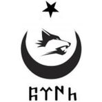 Türk Arma Bayrak Kurt Araç Sticker Araba Türk Bayrağı 15X15 - belirtilmemiş - Siyah