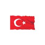 Türk Bayrağı 1.sınıf Parlak Raşhel Kumaş 70x105cm