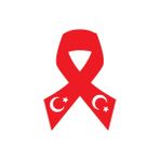 Türk Bayrağı 10 Duvar Dekor Sticker Kırmızı 40 X 24 Cm