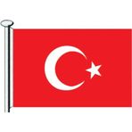 TÜRK BAYRAĞI 20X30
