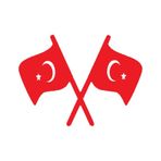 Türk Bayrağı 5 Duvar Dekor Sticker Kırmızı 60 X 40 Cm