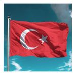 Türk bayrağı 60x90 cm- Alpaka Kumaş - 5 Adet
