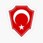 Türk Bayrağı Arma Logo Sticker 16CM 2 Adet