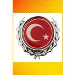 Türk Bayrağı Döküm Arma-1