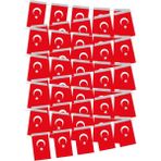 Türk Bayrağı İpli 50li Büyük Boy (5li Set)