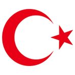 Türk Bayrağı Oto Sticker - 20x16 cm
