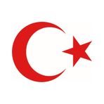 Türk Bayrağı Oto Sticker Kırmızı 23x17 Cm Renk
