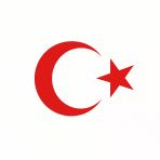 Türk Bayrağı Oto Sticker Kırmızı 23X17 Cm