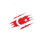 Türk Bayrağı Pençe Izi Türk Bayrağı Sticker 18cm