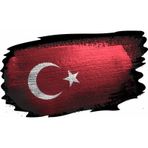 Türk Bayrağı Sticker 01969