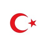 Türk Bayrağı Sticker Ay Yıldız Araba Oto Sticker 30 x 22 CM