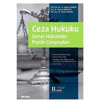 Türk Ceza Hukuku Genel Hükümler Pratik Çalışmaları