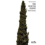 Türk Mezar Taşı Edebiyatı / Mehmet Samsakçı