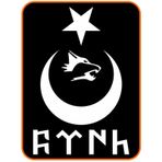 Türk Yazılı Ay Yıldız Kurt Hilal Oto Sticker 30x20 Cm Beyaz
