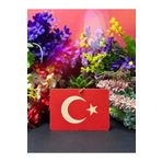 Türkiye 100. YIL ARABA AYNA ASMA KOKUSU