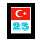 Türkiye Bayraklı Erzurum 25 Plaka Kodu Ön Cam Sticker