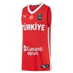 Türkiye Erkek Kırmızı Basketbol Forma 60660602