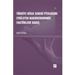 Türkiye Hisse Senedi Piyasasını Etkileyen Makroekonomik Faktörlere Bakış - Merve Perçin