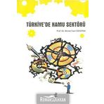 TÜRKİYE'DE KAMU SEKTÖRÜ - AHMET FAZIL ÖZSOYLU