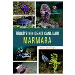 Türkiye'nin Deniz Canlıları - Marmara - Tübitak Yayınları