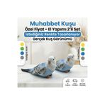 TÜRKÜ HEDİYELİK Dekoratif 2'li Kuş | Biblo Süs | Kuş Hediyelik Süs Eşyası | 2li Muhabbet Kuşu Biblo Polyester | Mavi