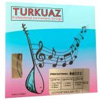 Turkuaz BD220 Uzun Sap Bağlama Teli 020 Paslanmaz Takım Tel
