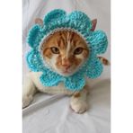 Turkuaz Beyaz Bandana Çiçek Tasma Yazlık Örgü Kedi Köpek Şapkası Evcil Hayvan Şapkası Pet Aksesuarı
