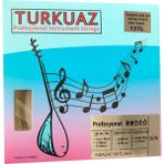 Turkuaz Cg218 0.18 Mm Çelik + İpek Bamlı Takım Tel Kısa Sap Bağlama Teli 018