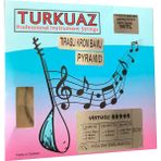 Turkuaz Cg518 .18 Mm Pyramid + Krom Bamlı Takım Tel Kısa Sap Bağlama Teli 018
