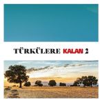 Türkülere Kalan 2 - Çeşitli Sanatçılar - 2 CD