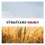 Türkülere Kalan 3 - Çeşitli Sanatçılar - 2 CD