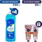 Turmepa Bulaşık Deterjanı 750 ml x 4, El Kremleri Hediye