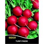 Turp Tohumu Fındık Cherry Belle - 1 KG