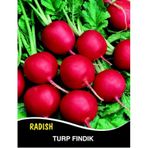 Turp Tohumu Fındık Cherry Belle - 10 g (~ Takribi 600 Tohum)