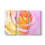Turuncu Pembe Gül Tablosu 111 x 75-3 Parçalı