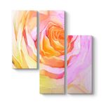 Turuncu Pembe Gül Tablosu 96 x 100-3 Parçalı