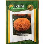 TURUNCU TOP KADİFE ÇİÇEK TOHUMU (TAKRİBİ 50 ADET TOHUM)