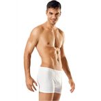 Tutku Erkek Boxer Paçalı Don, Pamuklu Likralı, 6'lı Paket, Karışık Renk, L Beden