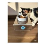 TutturX Kedi-köpek Mama-su Kabı Pleksi 2'li