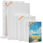 Tuval seti, 6 adet tuval boyama için 30 x 20, 20 x 15, 15 x 10 cm (her biri 2 adet), kasnak beyaz resim kanvas sanatçı tablo resimleri akrilik boya, sulu boya, yağ, guaj için tuvaller