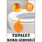 Tuvalet Koku Giderici Mango Kokulu Wc Klozet Kötü Koku Önleyici Araba Kokusu Çok Amaçlı Kalıcı Koku