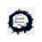 Tüylerle Süslenmiş Sünnet Tefi Vurmalı Çalgı Def Müzik Aleti Sünnet Annesi Tefi Sünnet Kınası Tefi