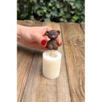 Tüylü Ayı Mini Silikon Mum Kalıbı